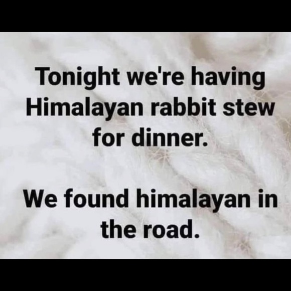 🎈CLOSED! 🎈 FIND F.GAME #14 🌟 Go to Women, Other #14.🌷TY! - Picture 11 of 16